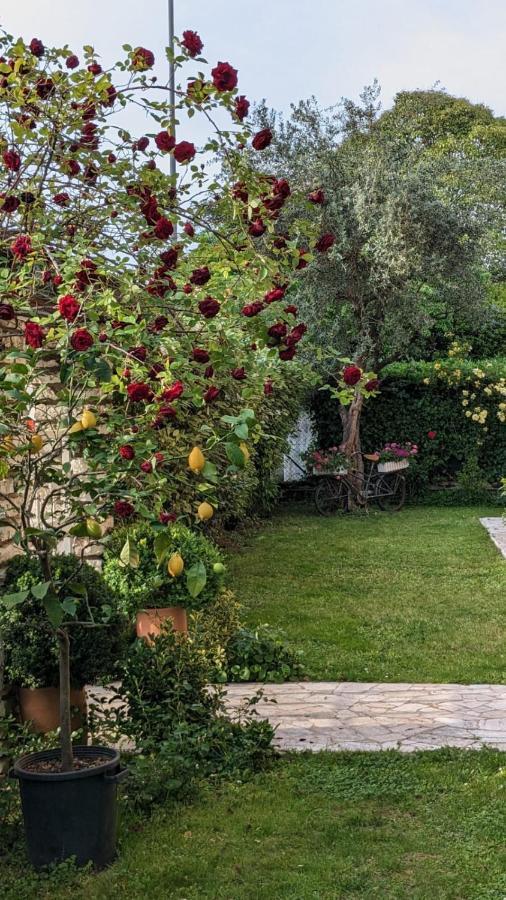Bed & Breakfast Agli Aceri Верона Екстер'єр фото